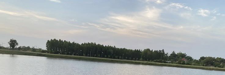 MinnaLugarbri's profile banner image