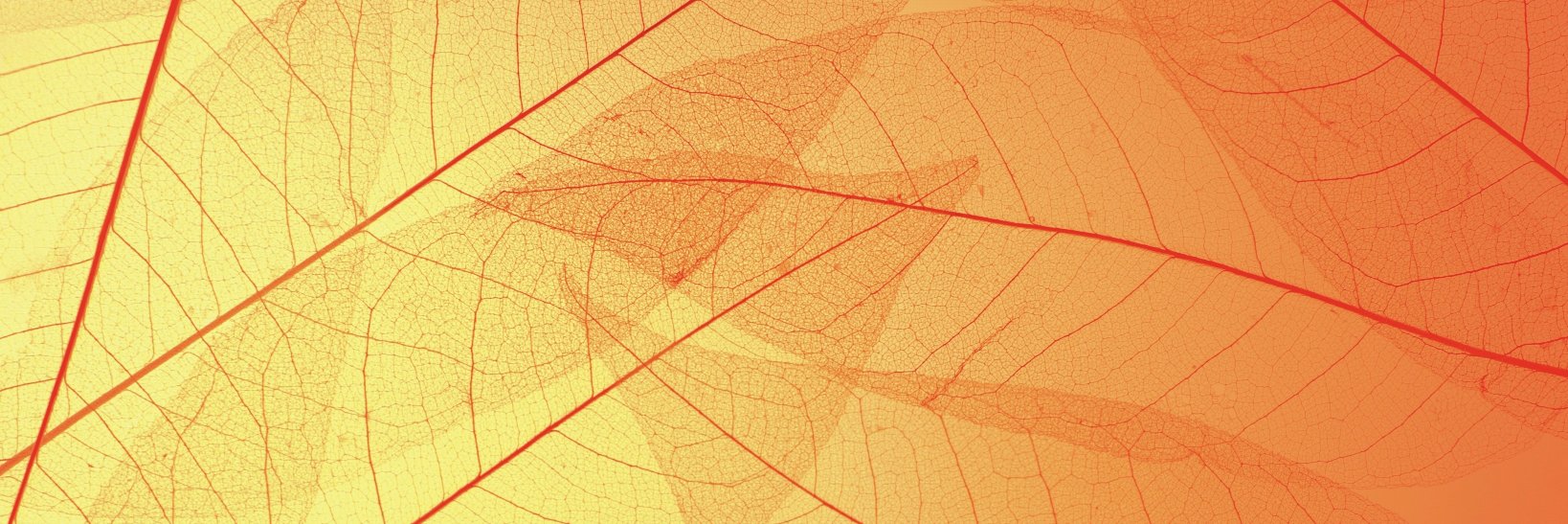 lotta_me's profile banner image