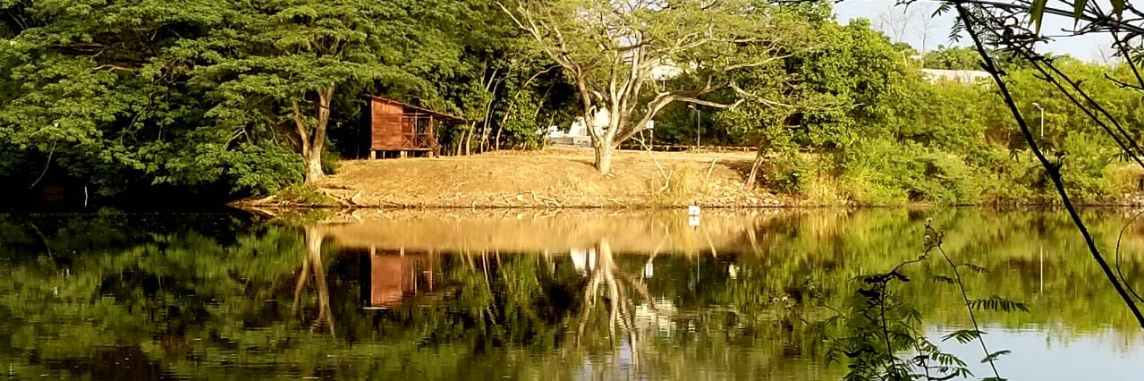 Angeles Rodríguez A. banner