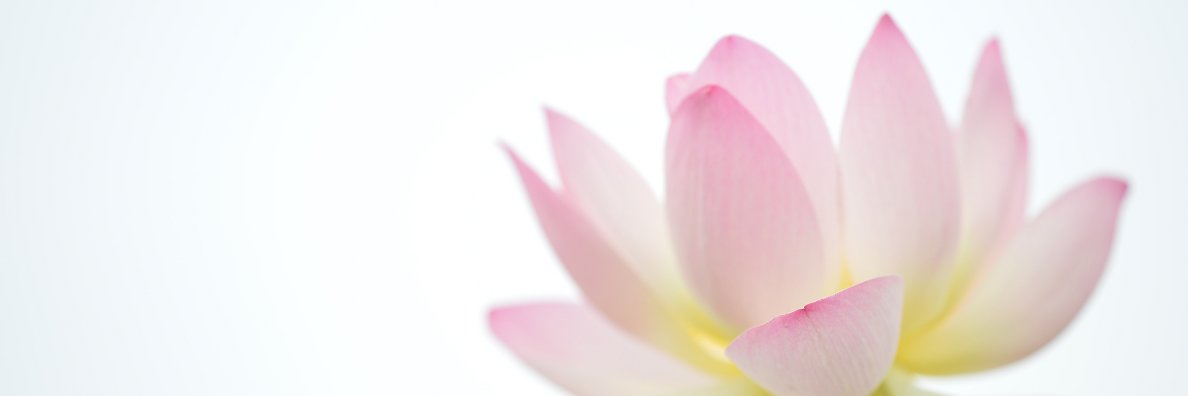 HandinHand_SP's profile banner image