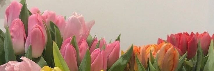 BulahDyce's profile banner image