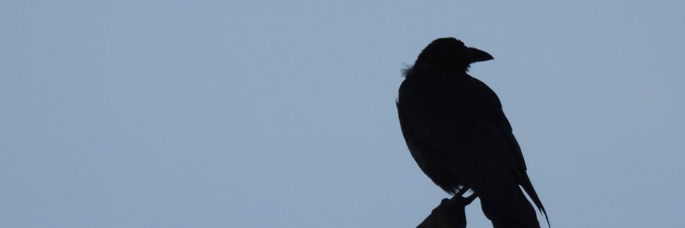 RealBBrothers's profile banner image