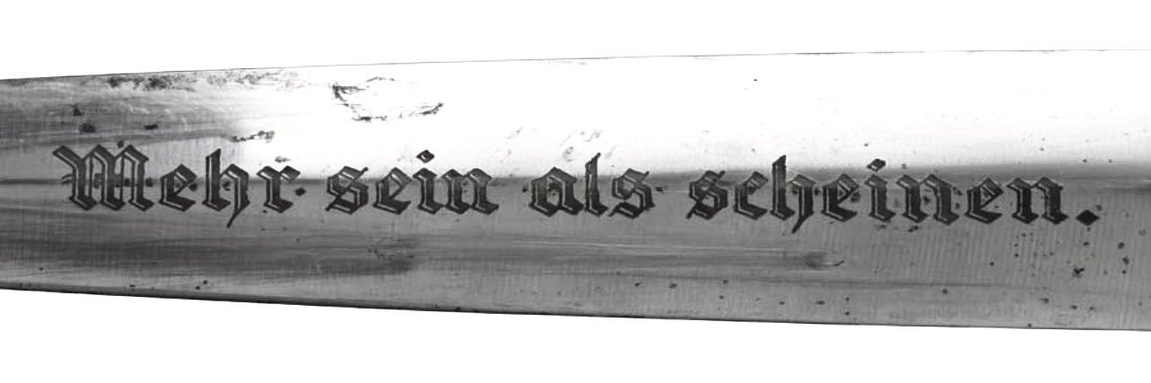 ausdove04's profile banner image