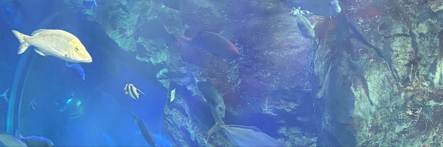 2OO8_7_15's profile banner image