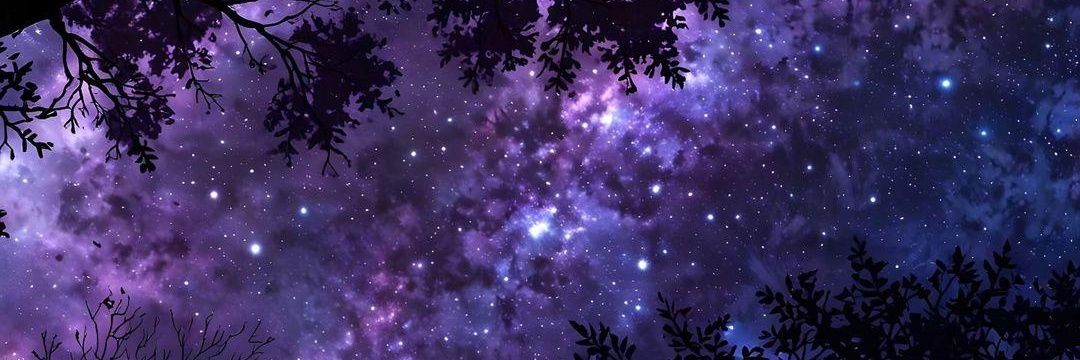 VelizMelina's profile banner image