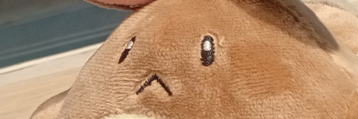 OtterCheerS's profile banner image