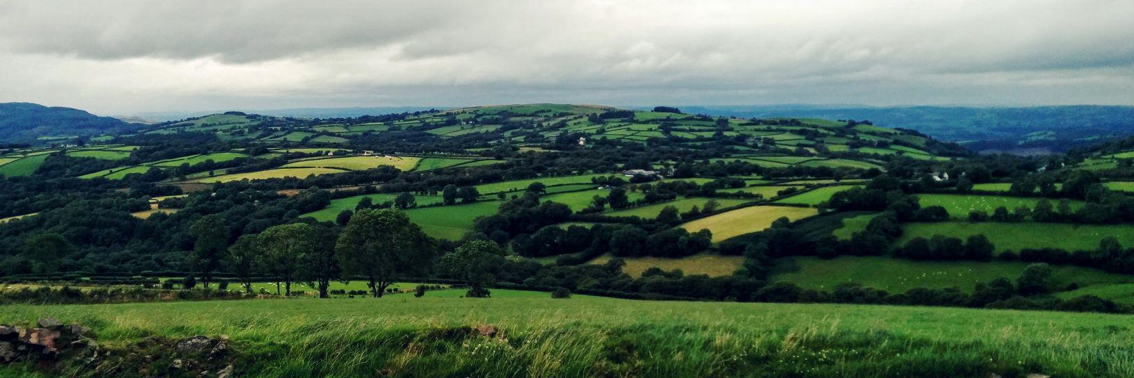 Madeleine Maxwell banner