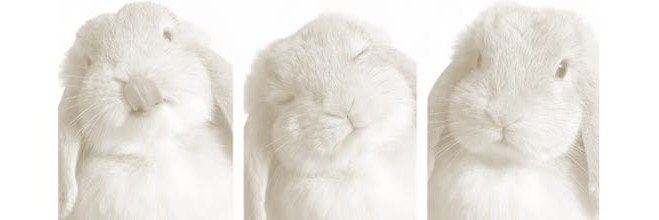 Deniixxs's profile banner image