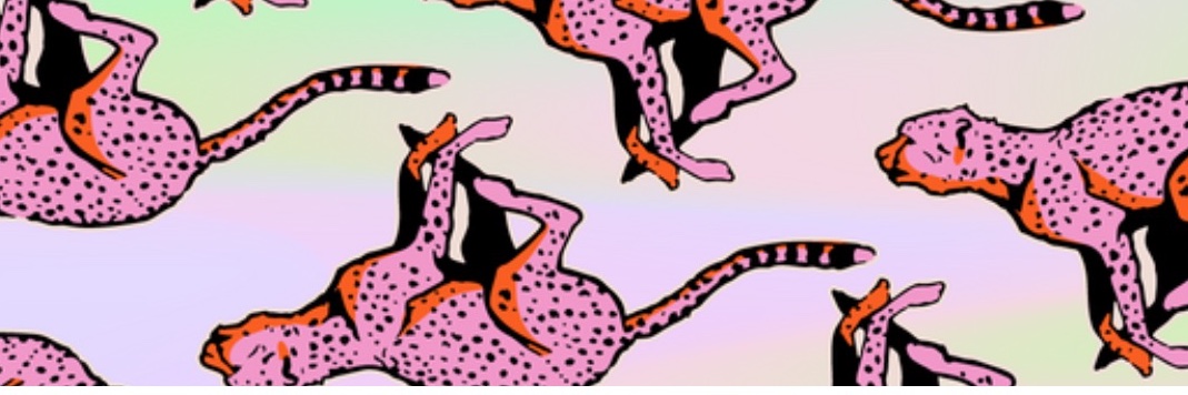 Djhoneycomb's profile banner image