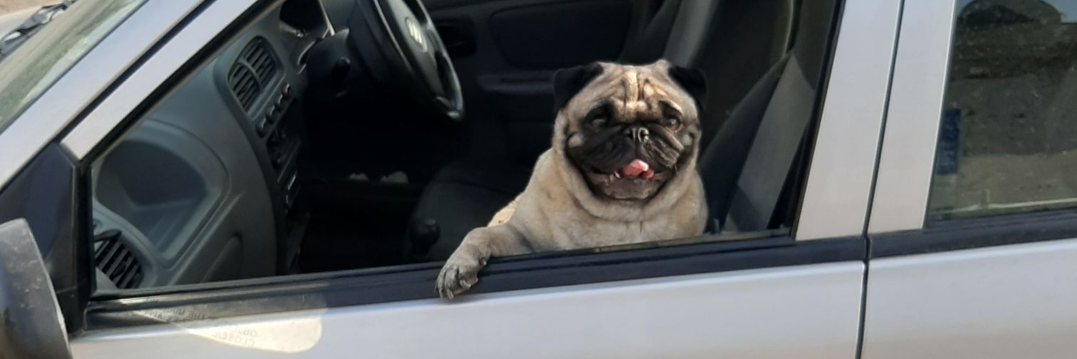 Dr CB Singh PhD 1987 BHU banner