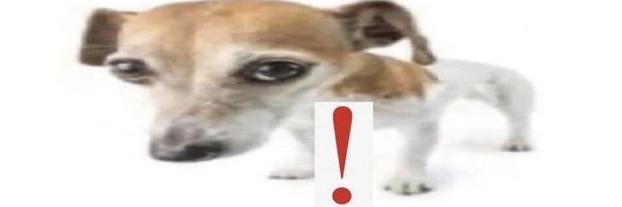 neumyisme's profile banner image