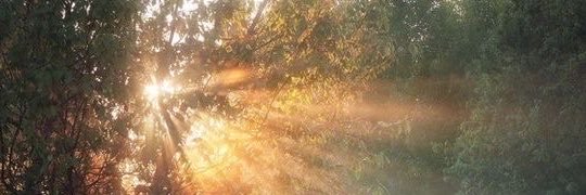 CcClemenCee's profile banner image