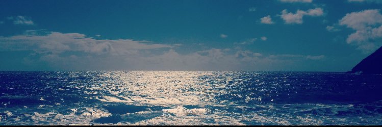 megsshills's profile banner image