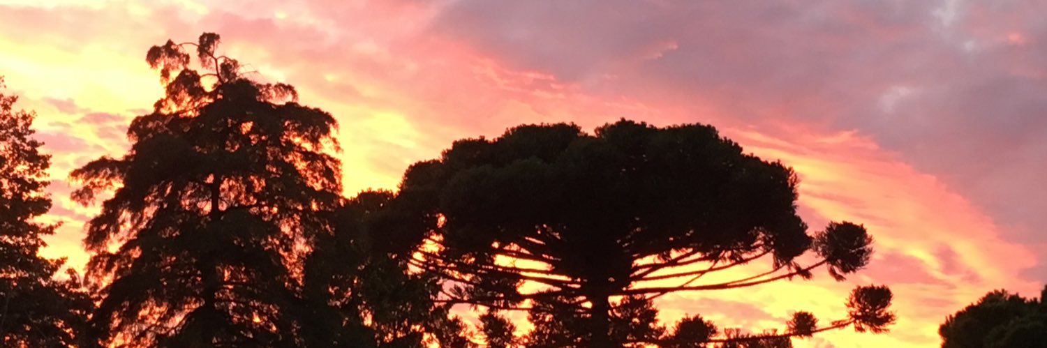 MauroChellillo's profile banner image