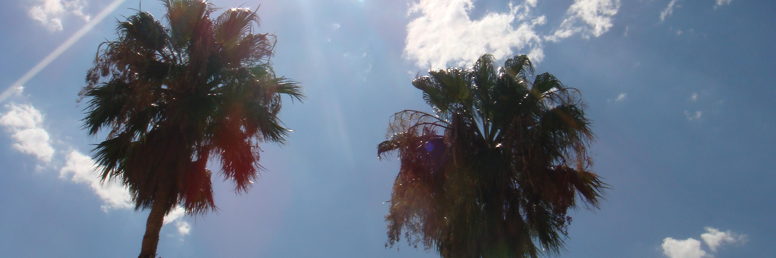 SLJARCH's profile banner image