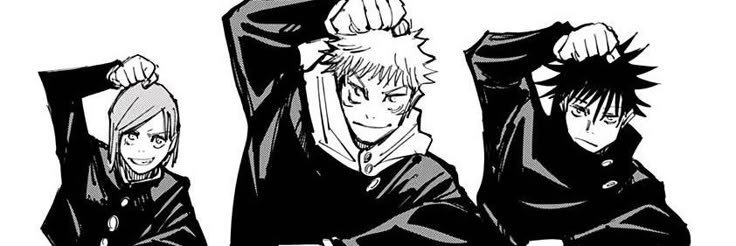 pfluzinha's profile banner image