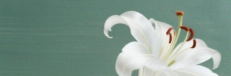 GoatFeta_NSFWGo's profile banner image
