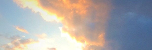 evwise's profile banner image