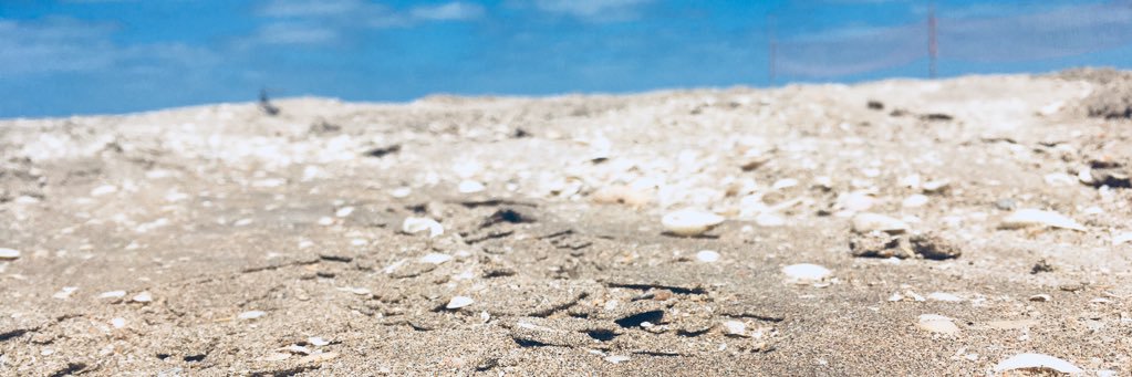 cbertrann's profile banner image