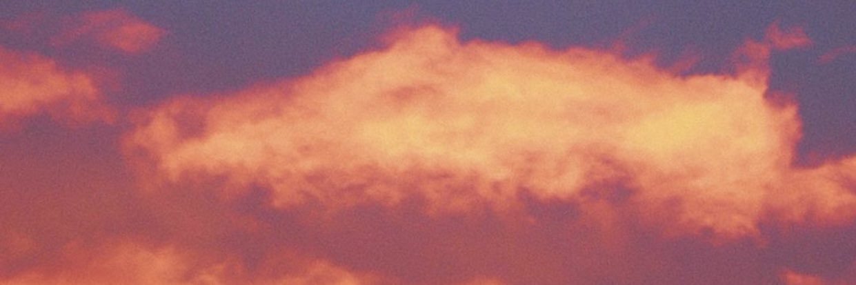 MechiPatricio's profile banner image