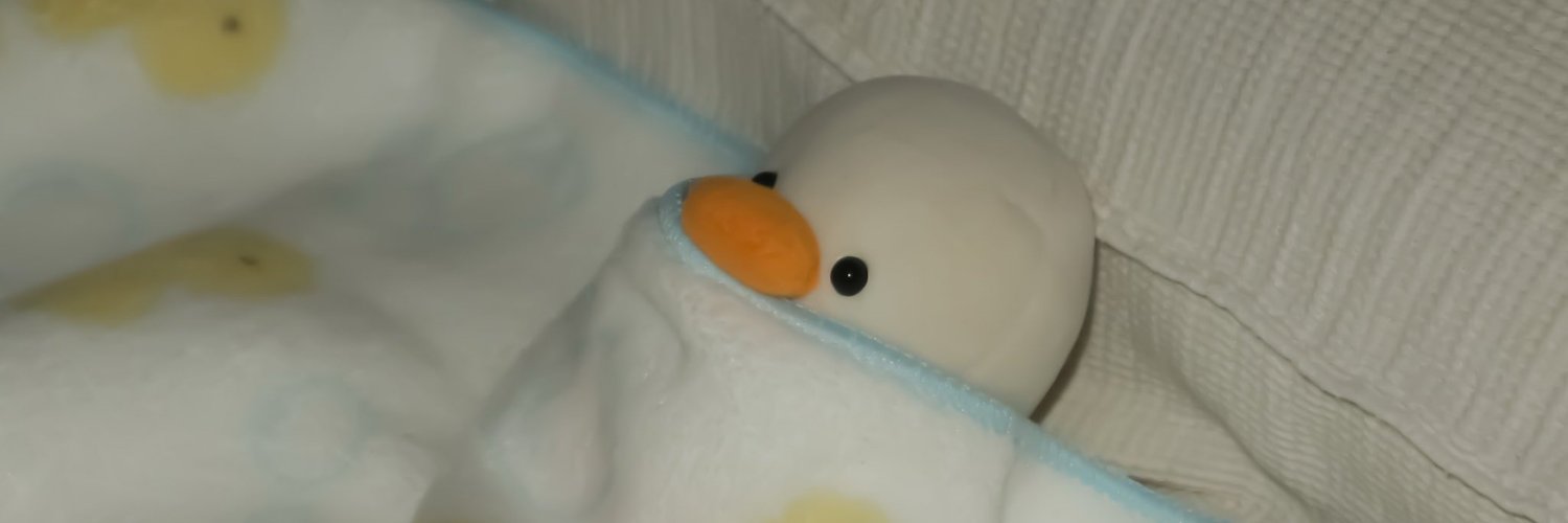 104goose's profile banner image
