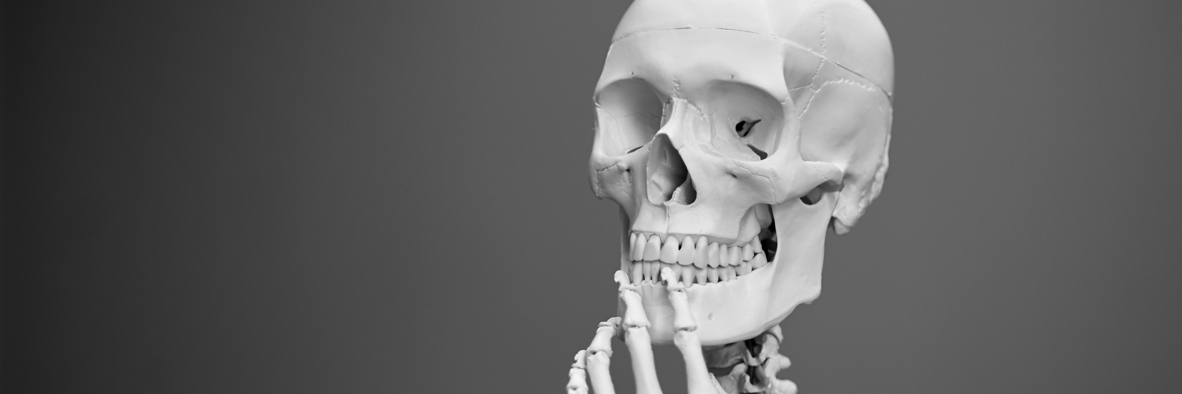Ninsbro's profile banner image