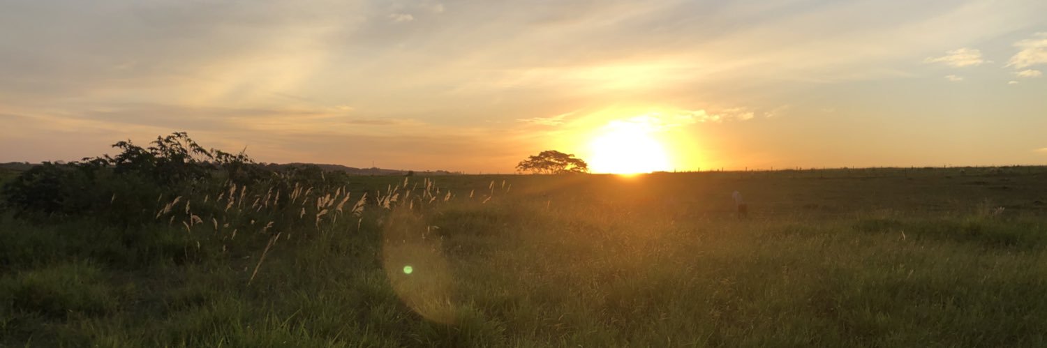 vr_macedo's profile banner image