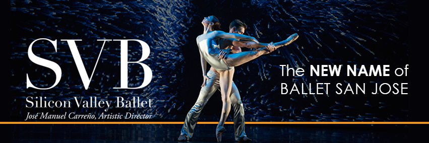 SV_Ballet's profile banner image