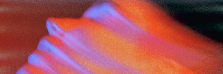 caamidominguez_'s profile banner image