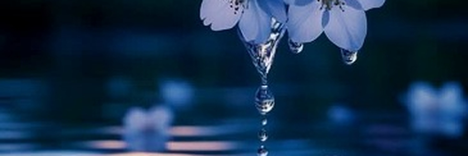 ValentinaWby's profile banner image