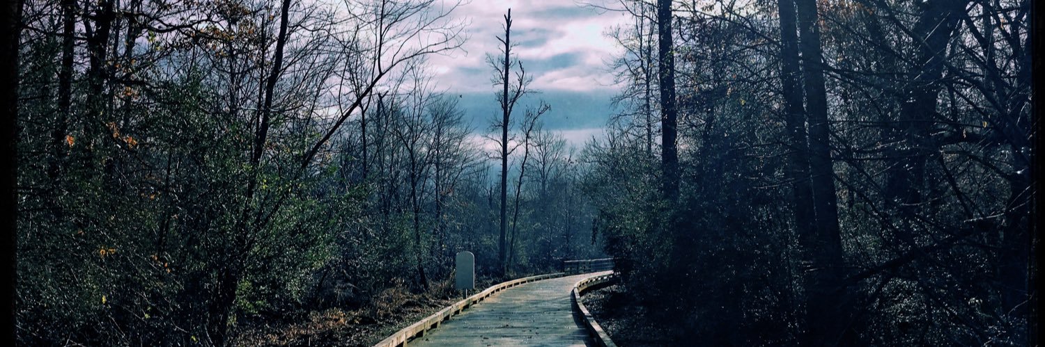 janibowe's profile banner image