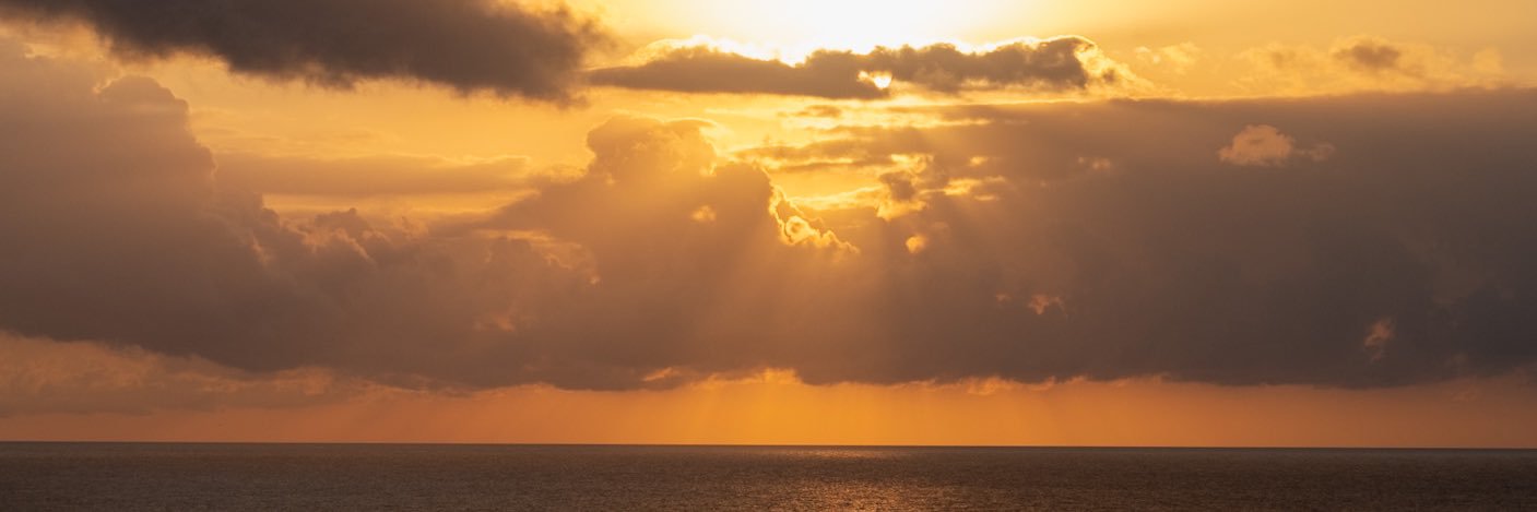 Oswaldo Rubio banner