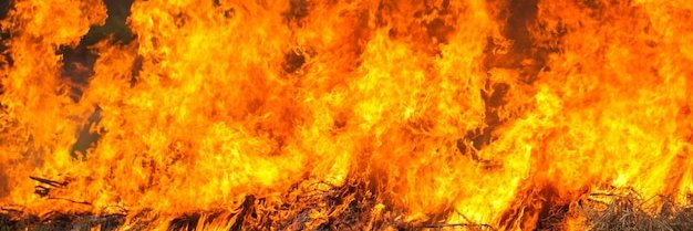 🔥炎上バナナ🍌 banner