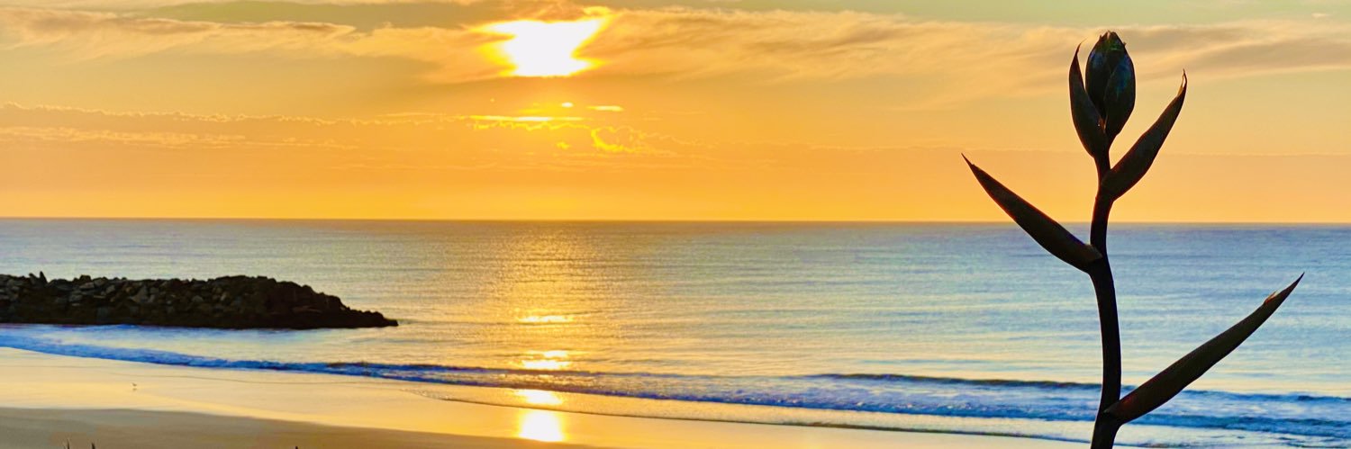 patriciohogan's profile banner image