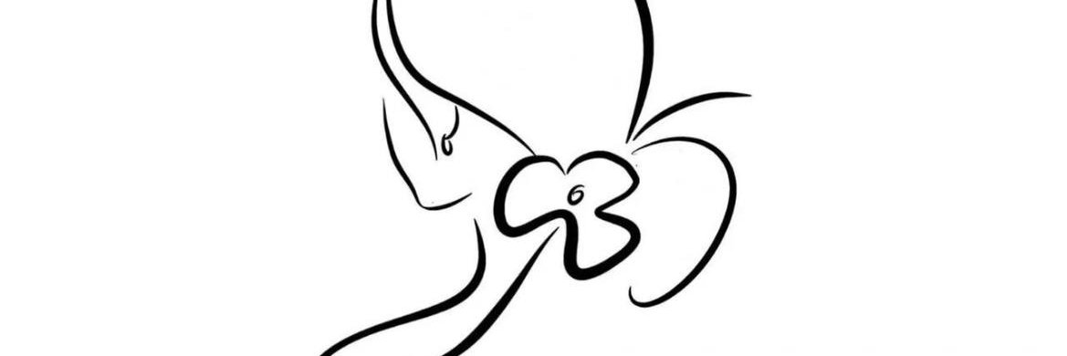 NathanBail2sye's profile banner image