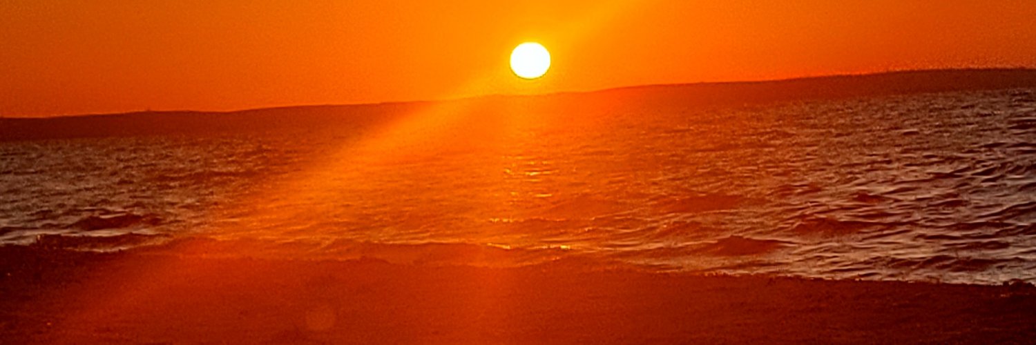 utmmlc44's profile banner image