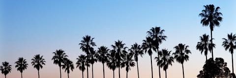 sluttybooty11's profile banner image