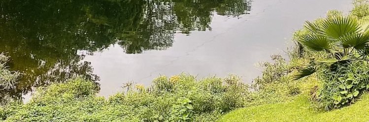 eycaro's profile banner image