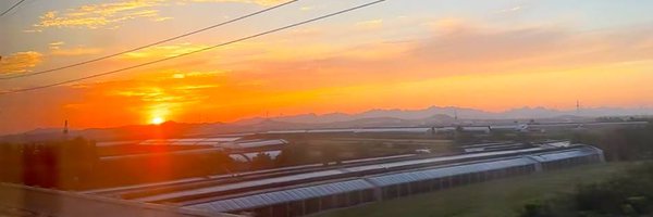 EdaPolatsjf9's profile banner image