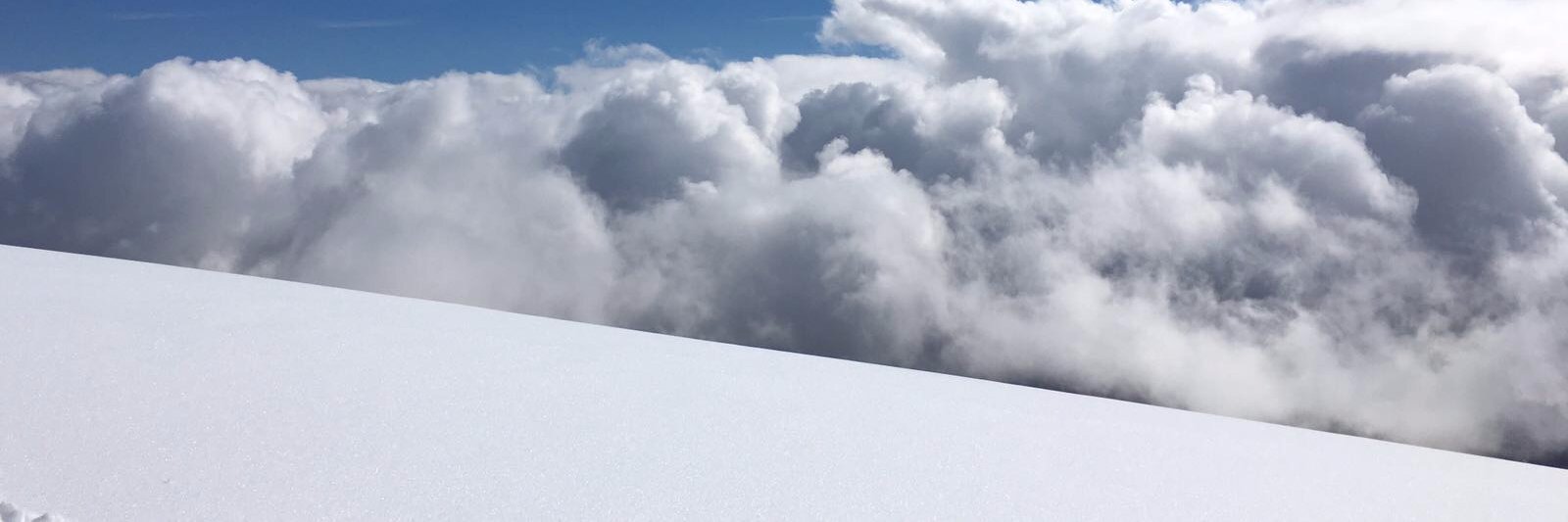 Jason Gardner banner