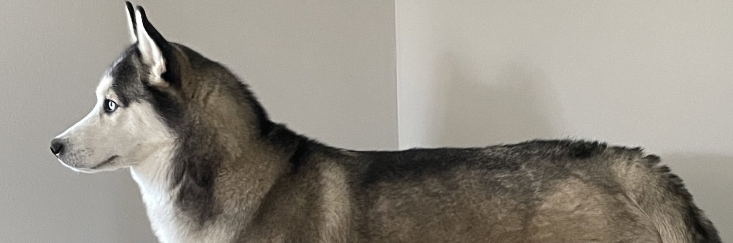 frizbshay's profile banner image