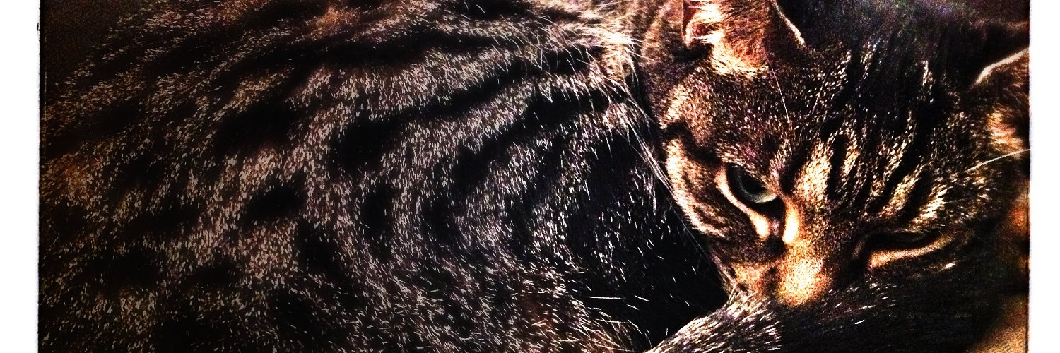 Hunter C. Thompson banner