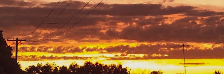 sarahrose313's profile banner image