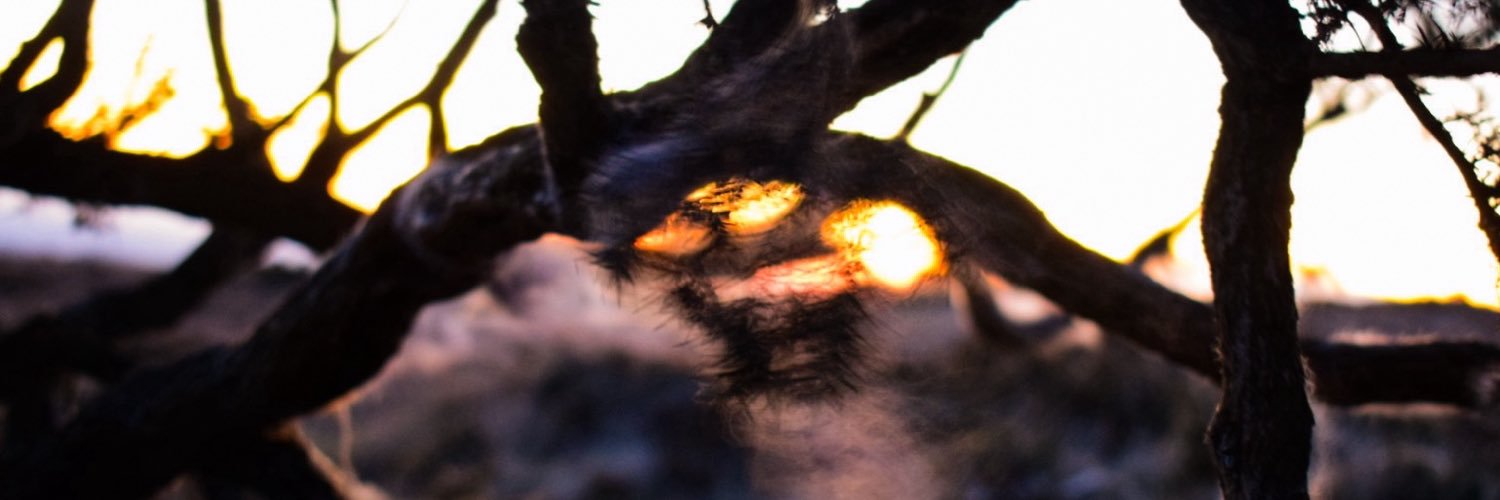 Izlainterupted's profile banner image