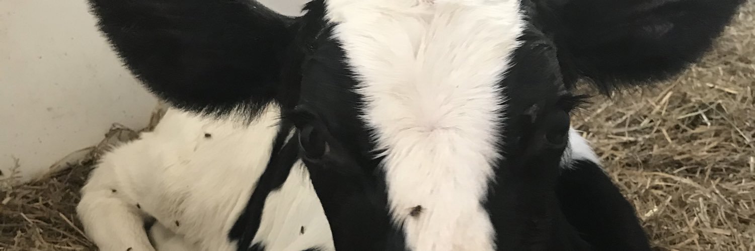 Heather Peters banner