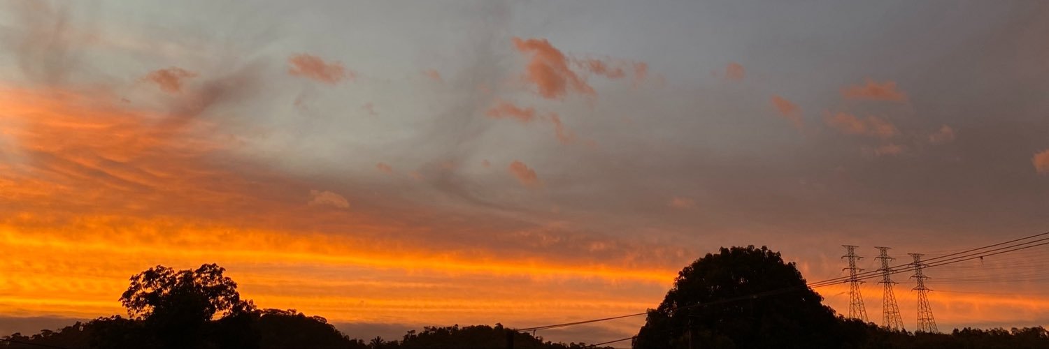 Ptk1g's profile banner image