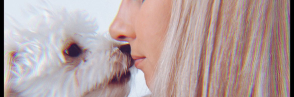 VicPergher's profile banner image