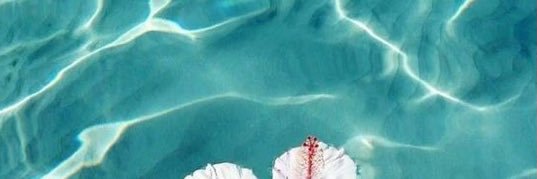 Cata_Lopez8808's profile banner image
