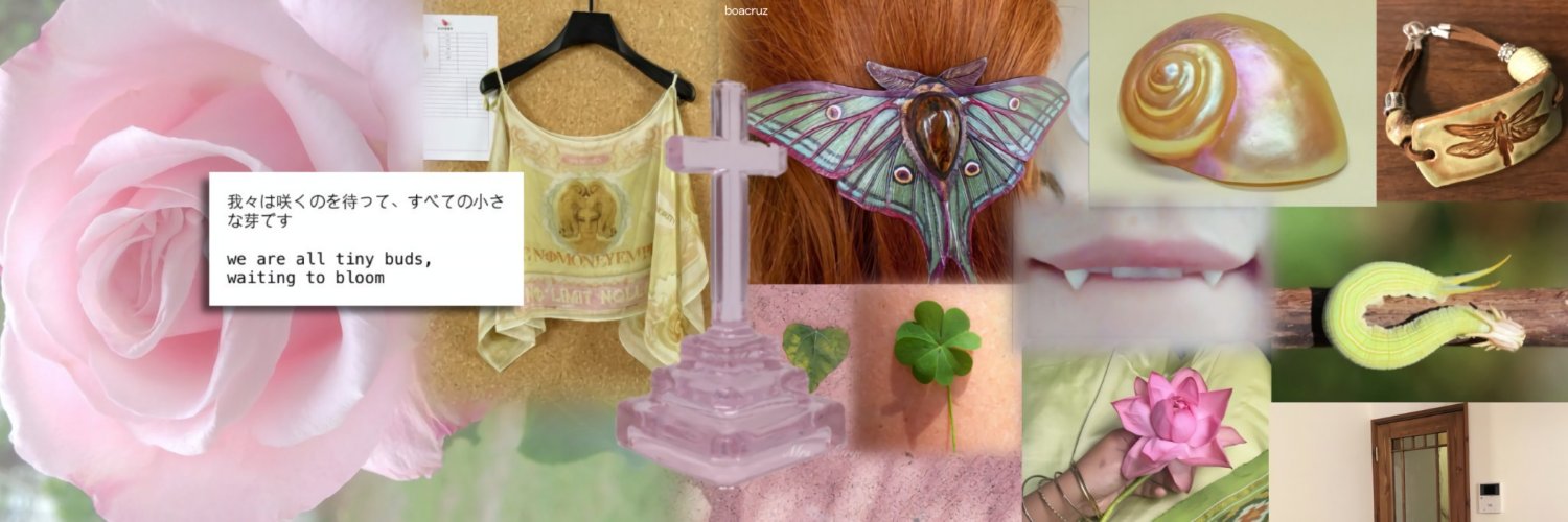 mybugsoul's profile banner image