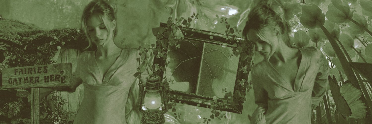 neverfairys's profile banner image